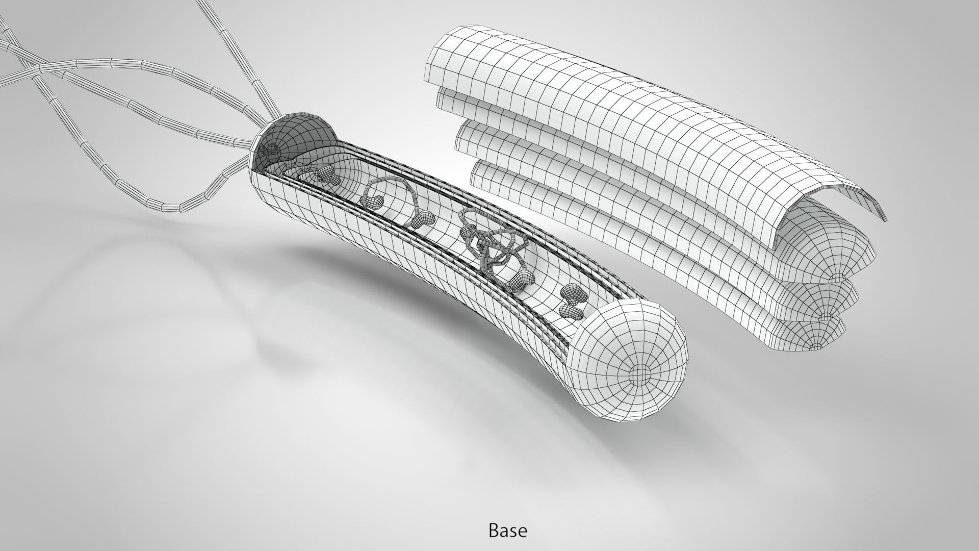 Prokaryotic structure  Low-poly 3D model_12