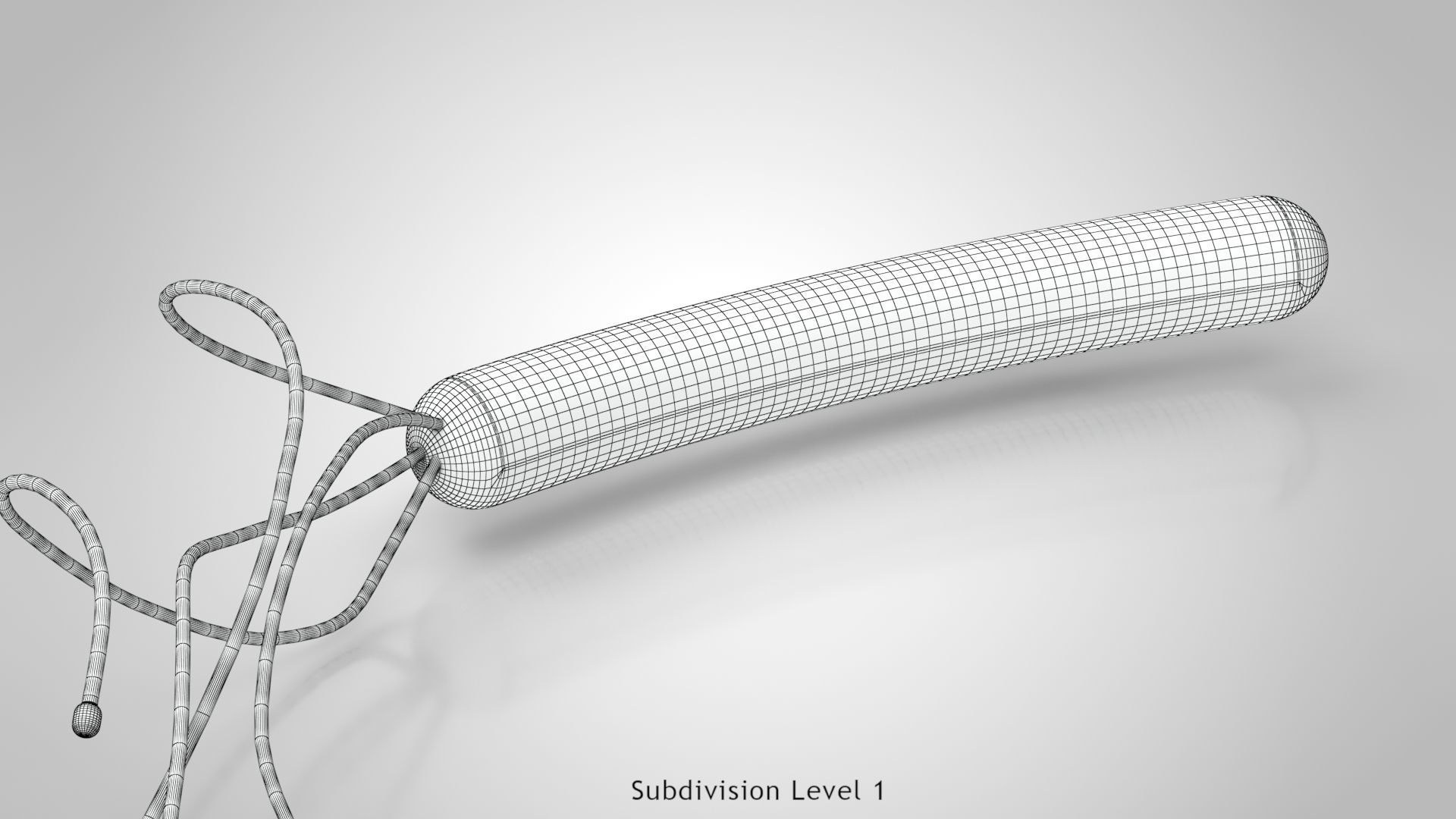 Prokaryotic structure  Low-poly 3D model_18
