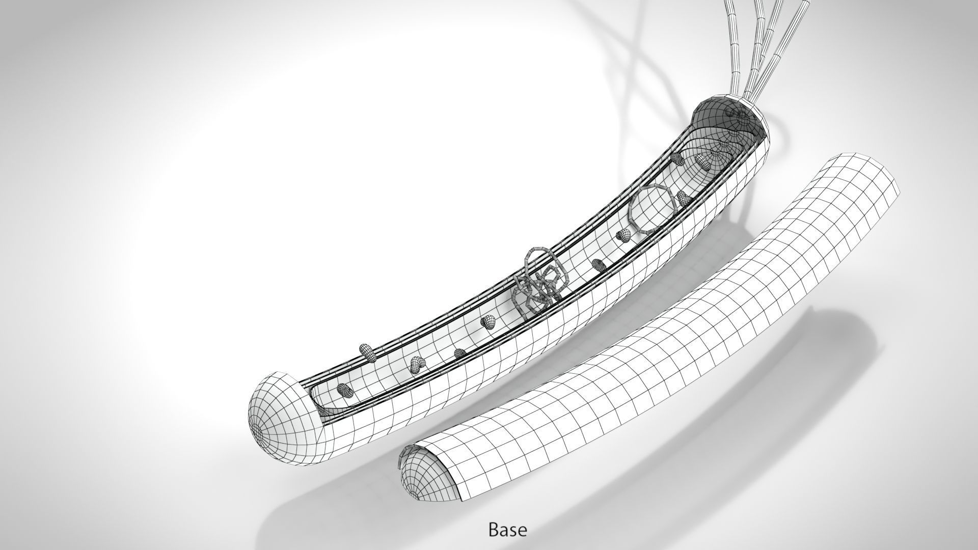 Prokaryotic structure  Low-poly 3D model_14
