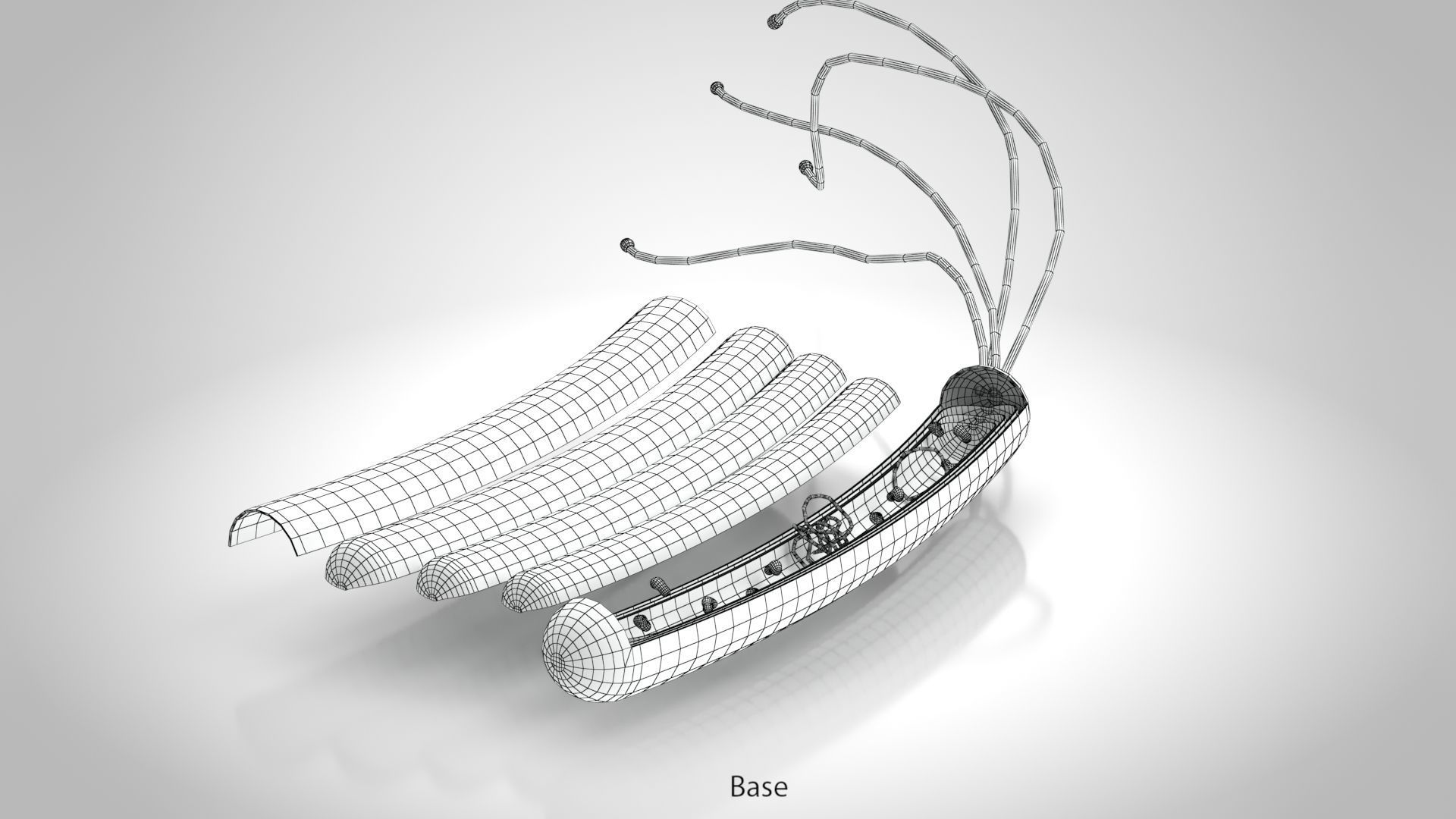 Prokaryotic structure  Low-poly 3D model_20