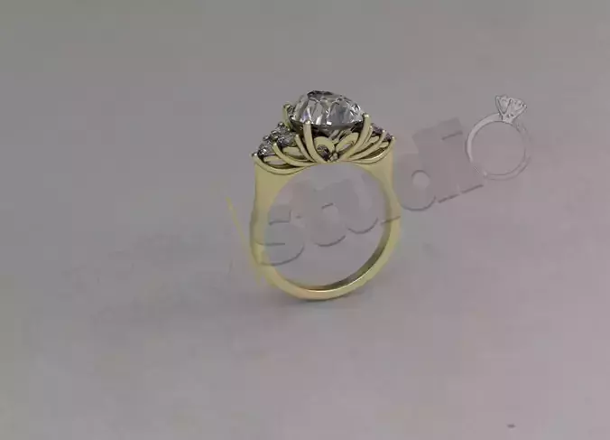 Brilliant diamond detailed ring 