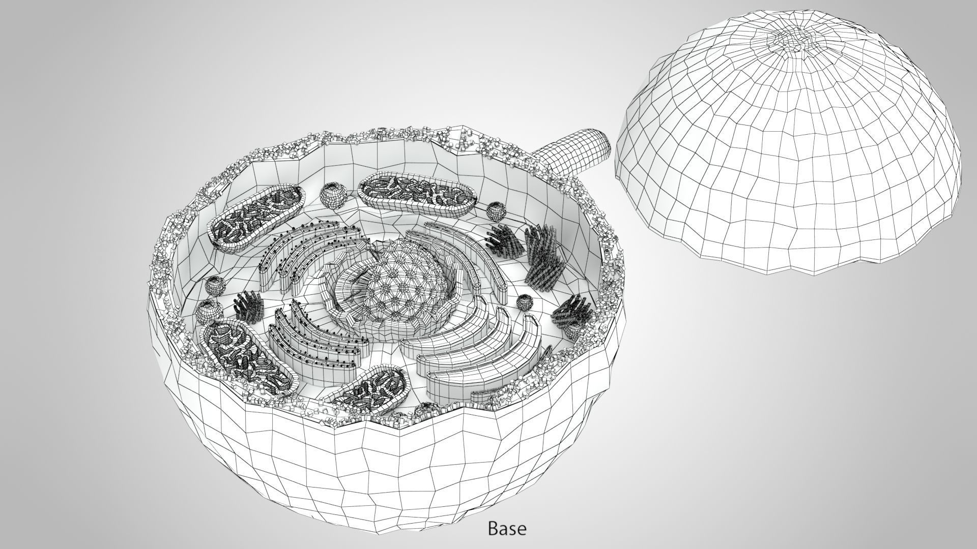 Plasma Cell Low-poly 3D model_14