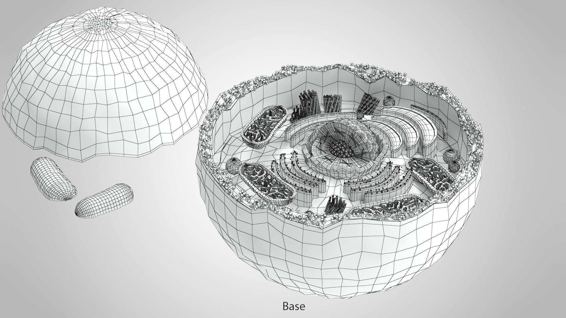 Plasma Cell Low-poly 3D model_12