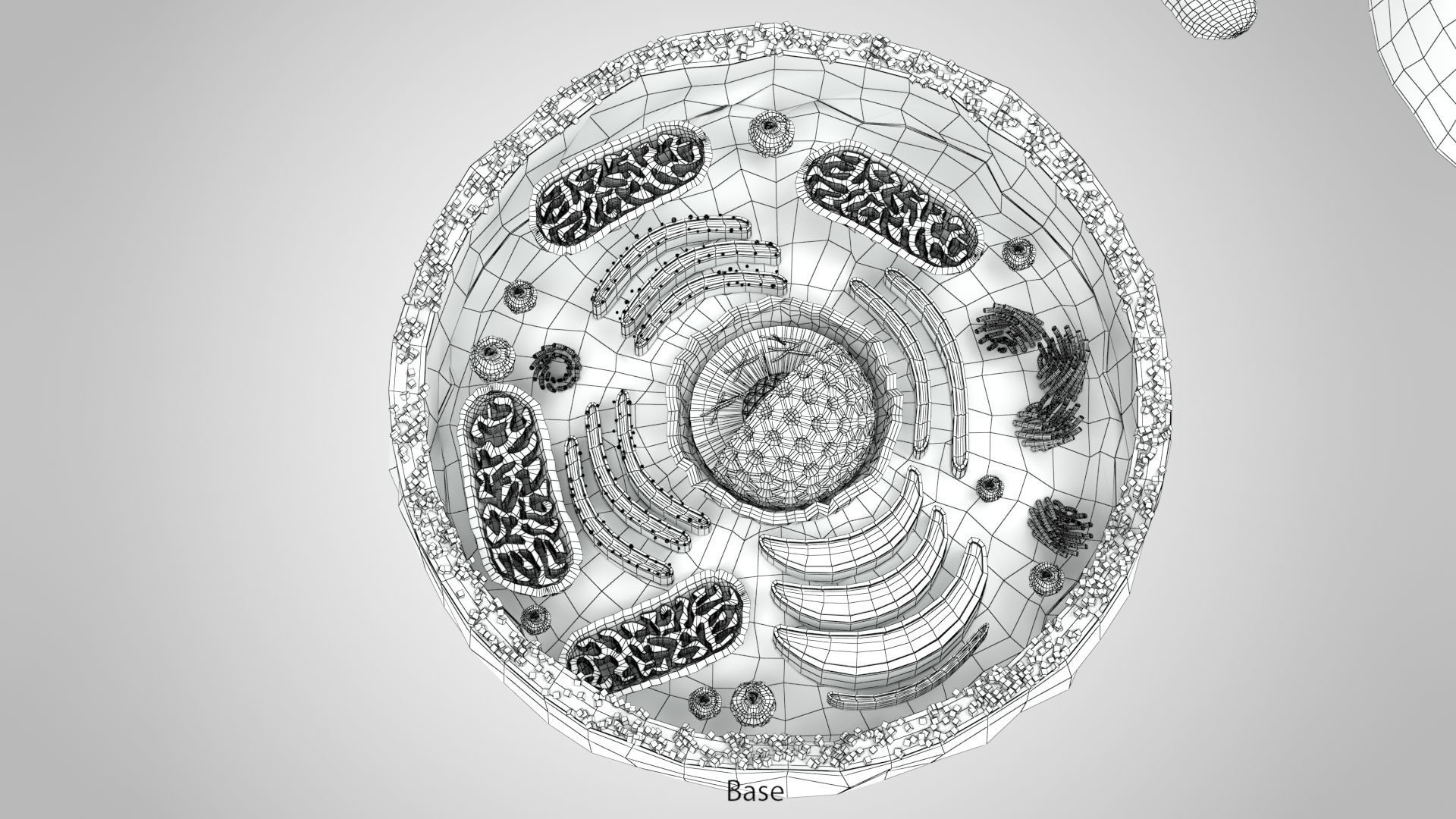 Plasma Cell Low-poly 3D model_20
