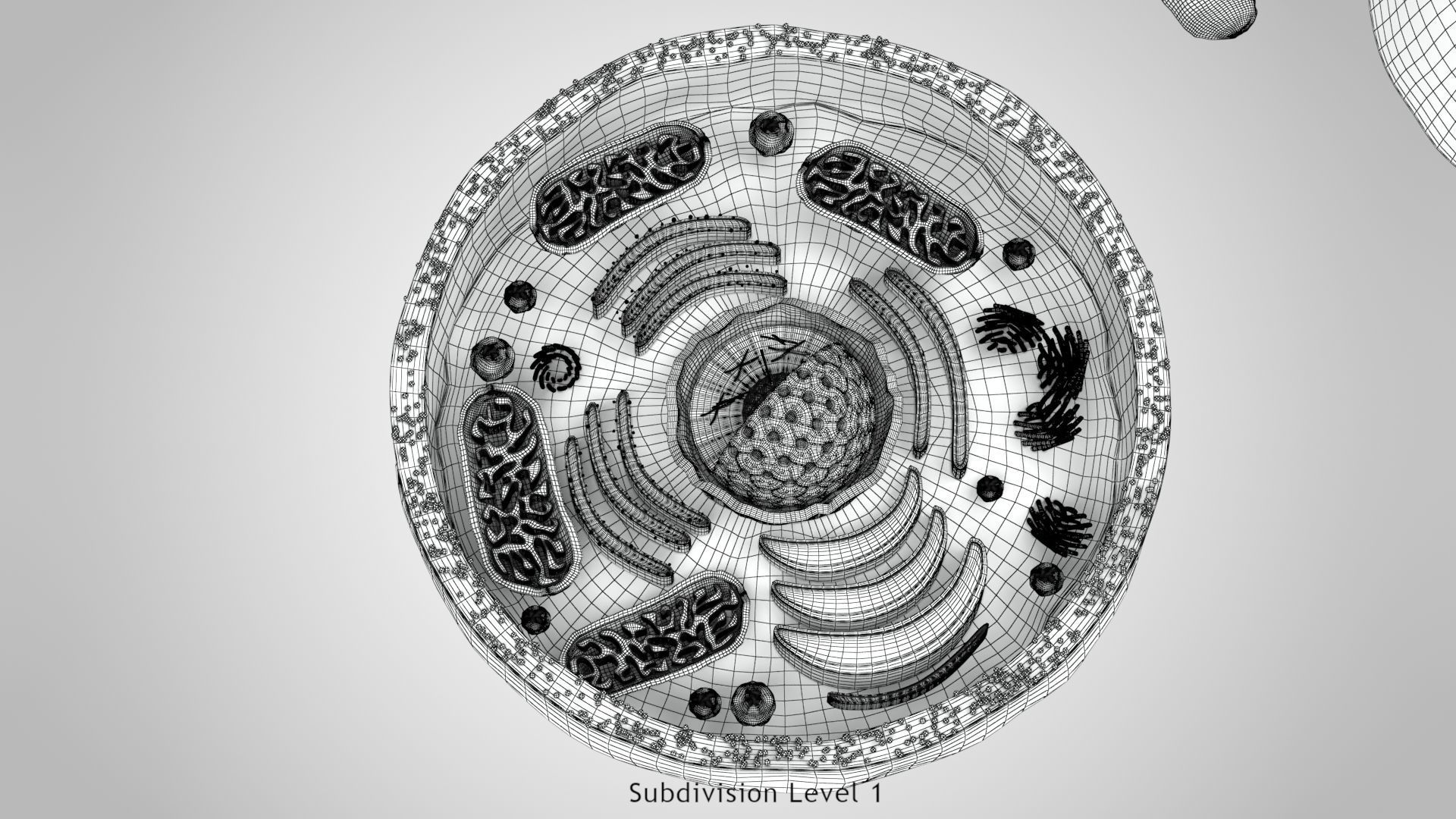 Plasma Cell Low-poly 3D model_21
