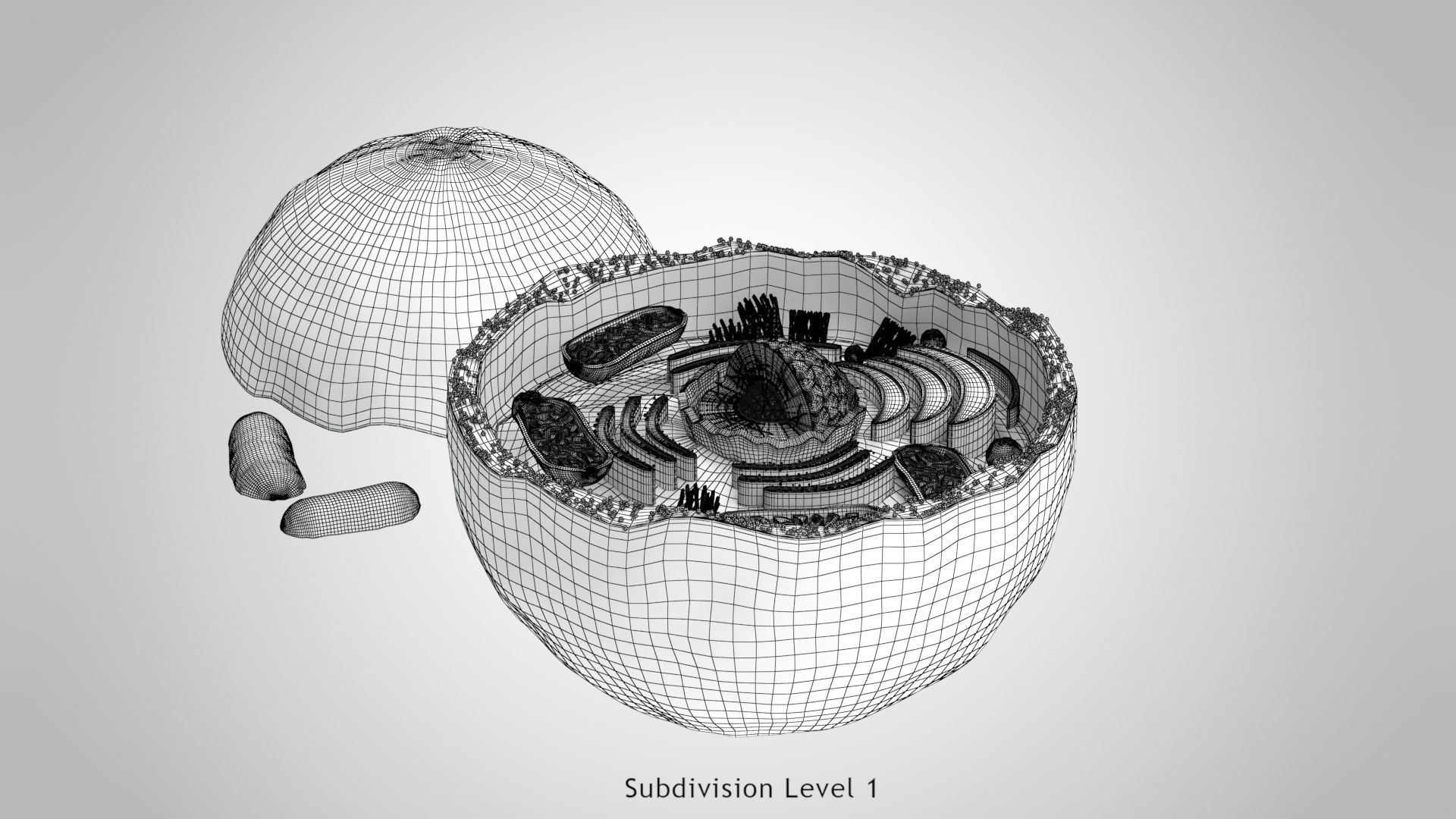 Plasma Cell Low-poly 3D model_23