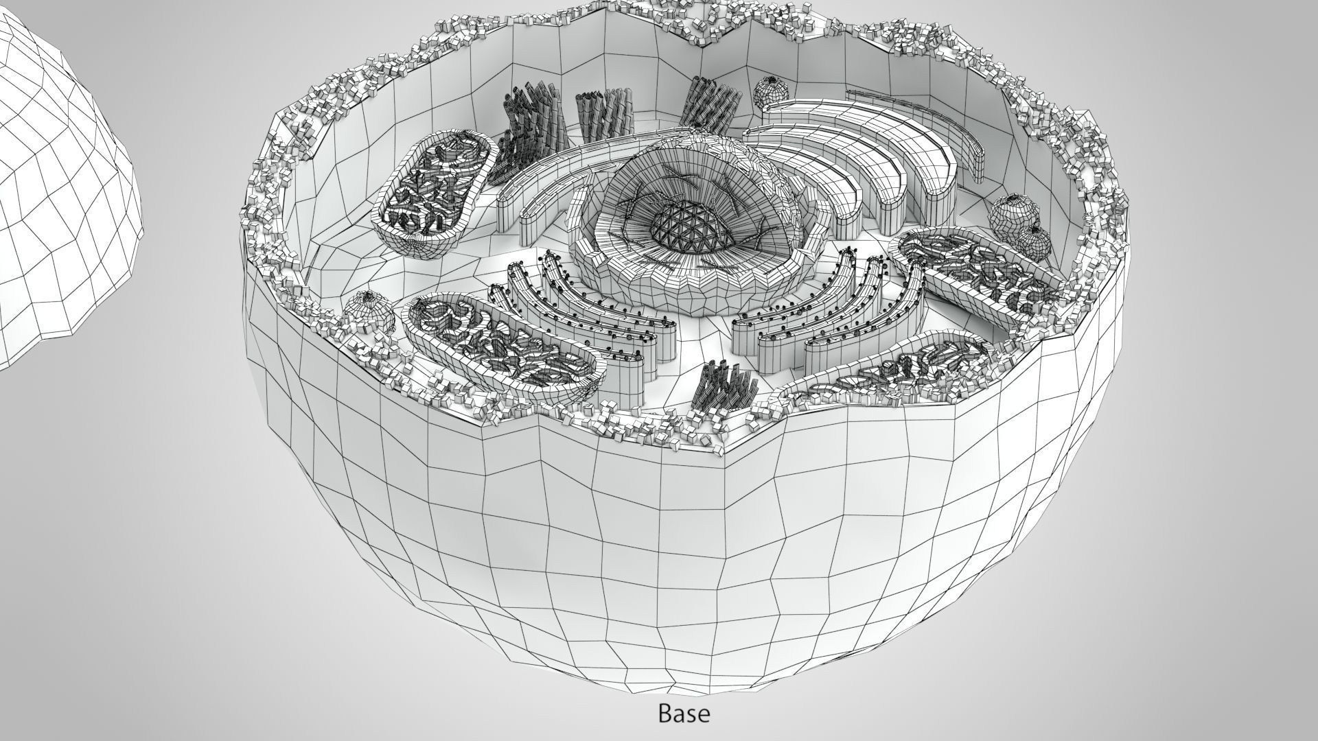 Plasma Cell Low-poly 3D model_16