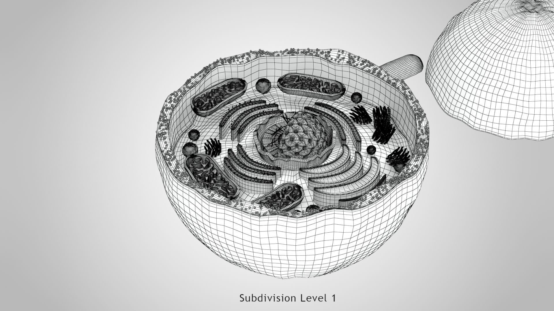 Plasma Cell Low-poly 3D model_25