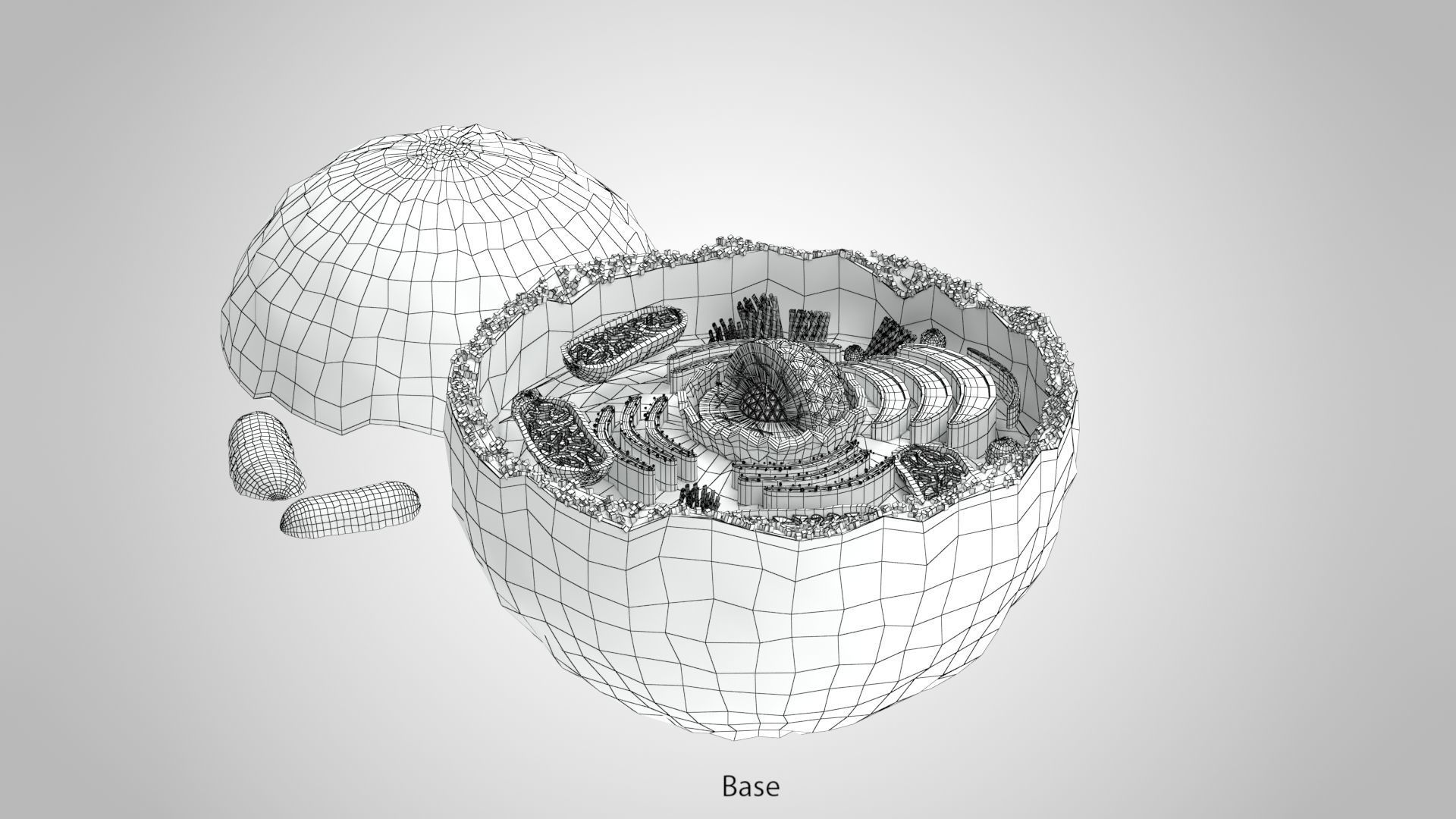 Plasma Cell Low-poly 3D model_22