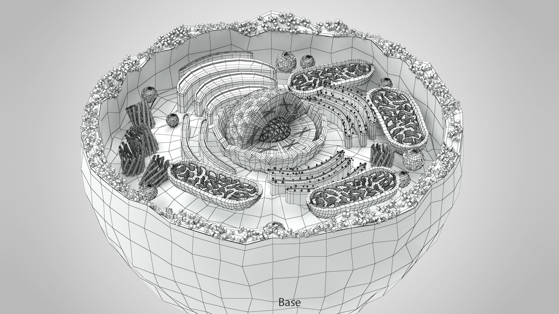 Plasma Cell Low-poly 3D model_18