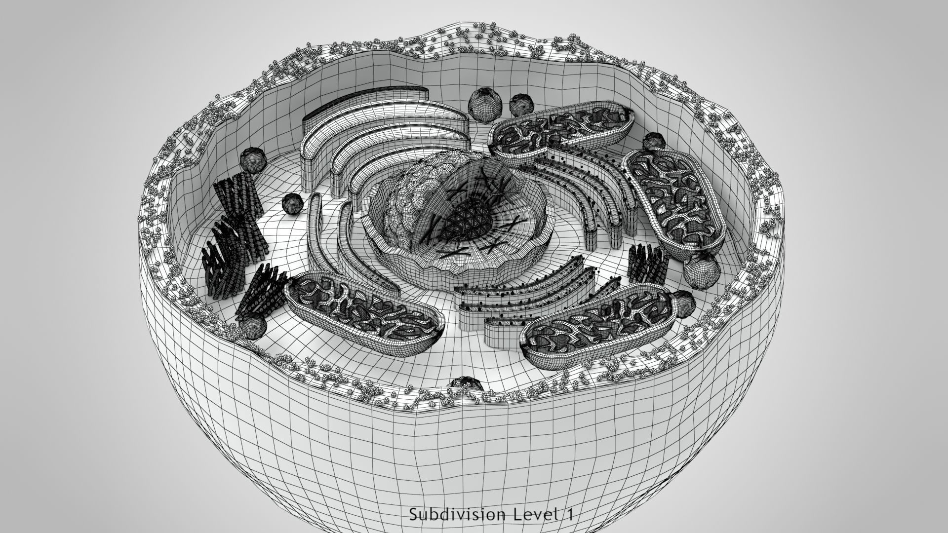 Plasma Cell Low-poly 3D model_19