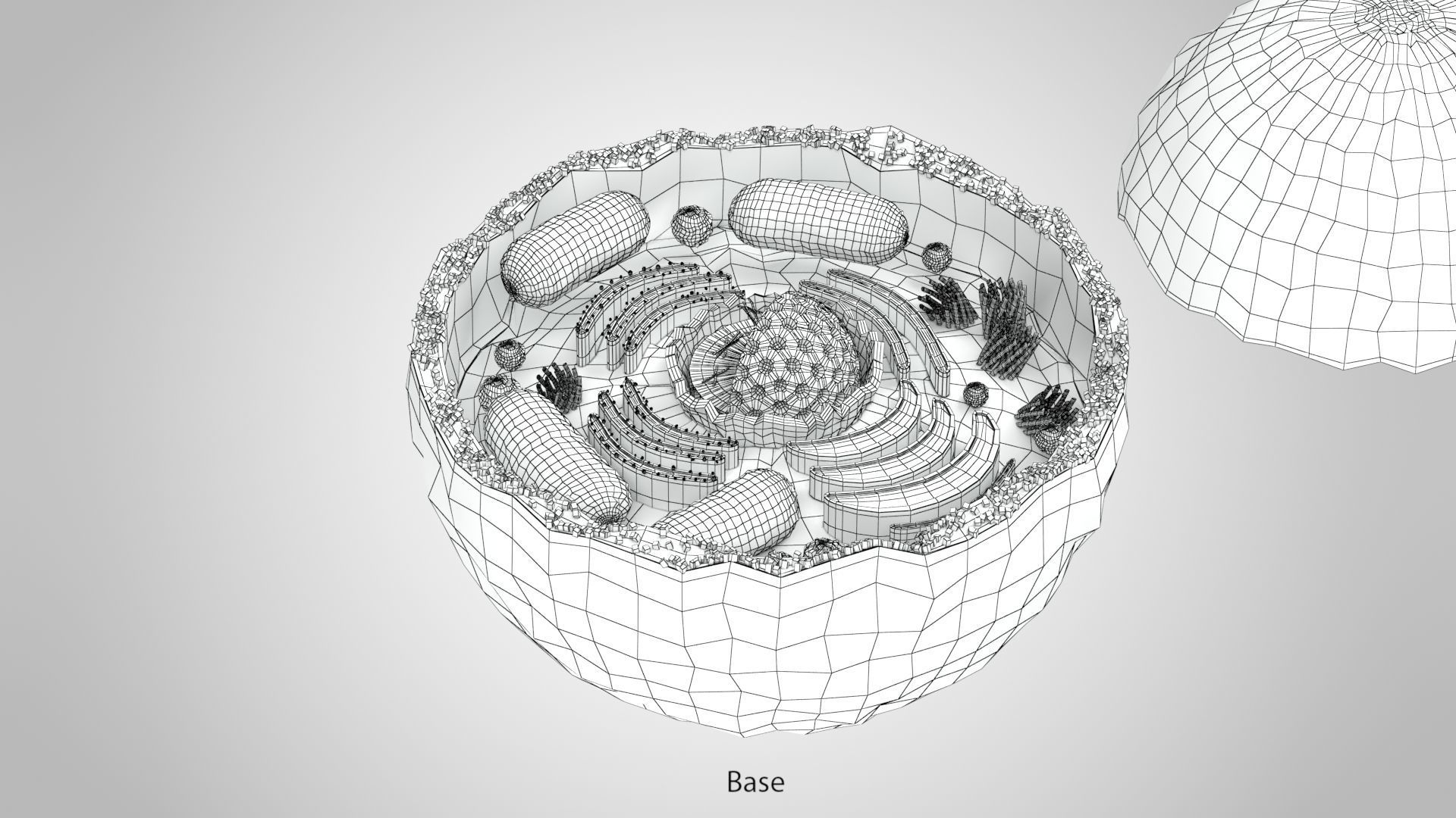 Plasma Cell Low-poly 3D model_26