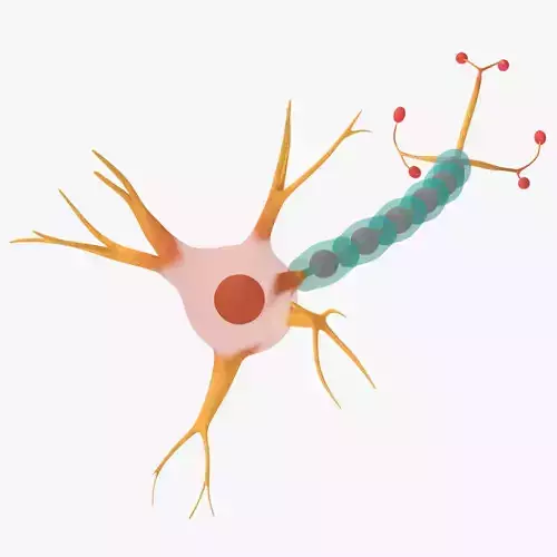 Neuron Cell Low-poly 3D model