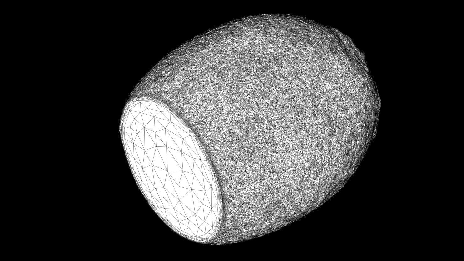 3D PRINTABLE ALIEN EGG OVOMORPH 1979 WITH ROOTS AND FLAT BOTTOM 3D print model_16