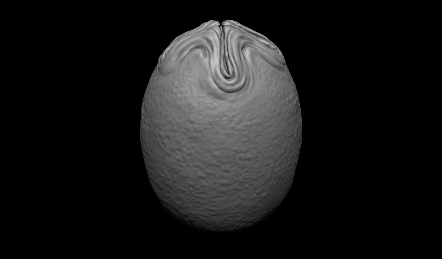 3D PRINTABLE ALIEN EGG OVOMORPH 1979 WITH ROOTS AND FLAT BOTTOM 3D print model_13