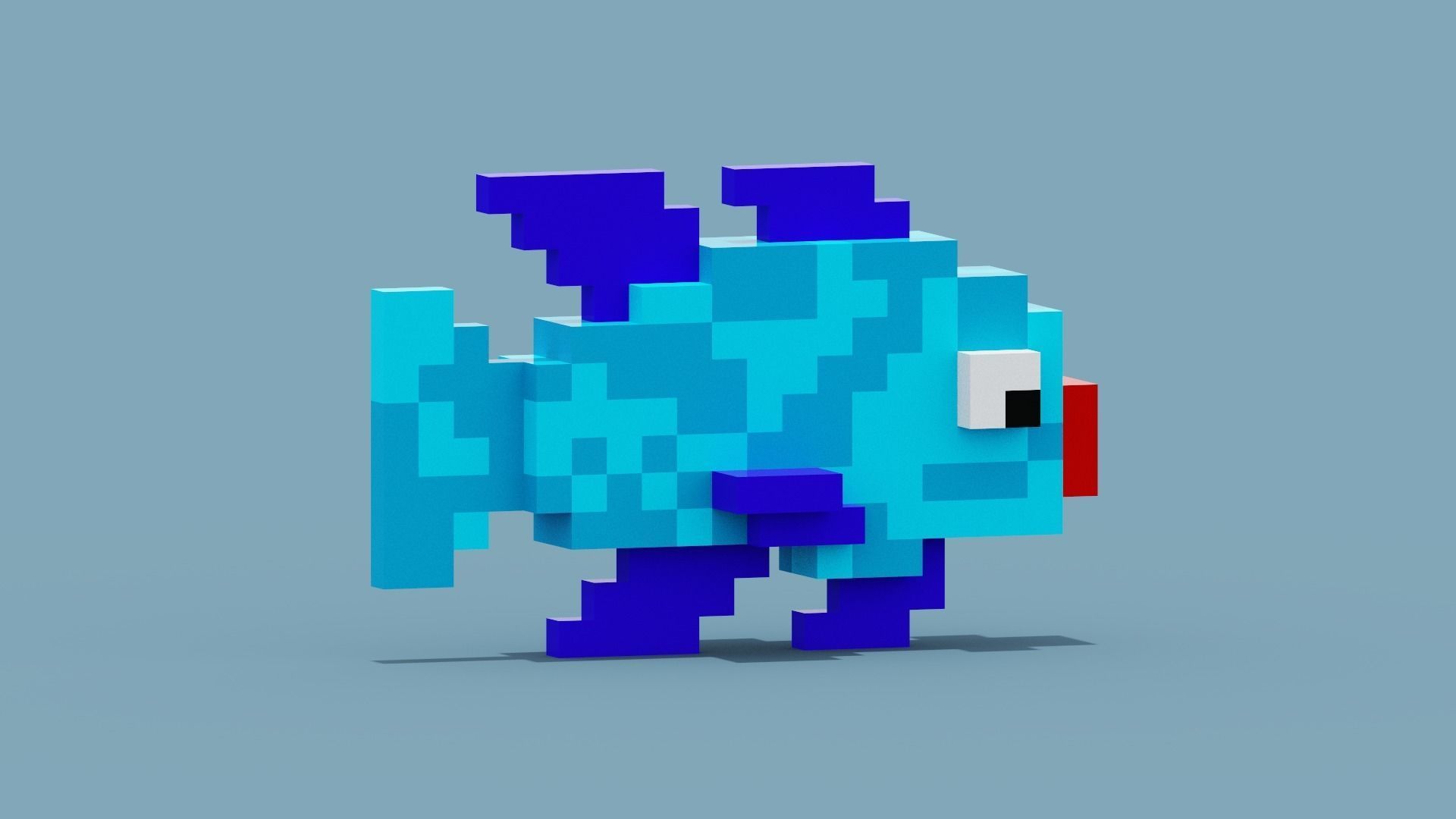 Voxel Blue Fish Low-poly 3D model_11
