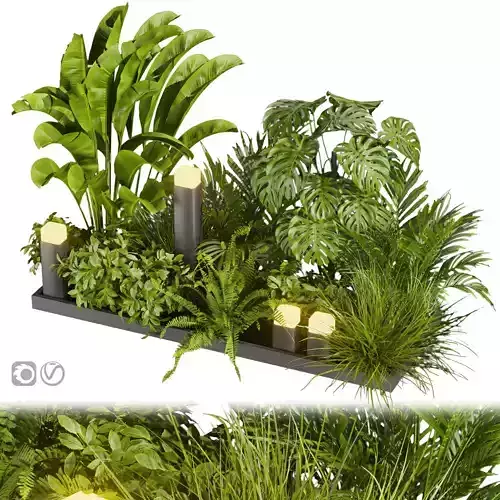 Collection plant vol 406 - leaf - outdoor - garden 3D model