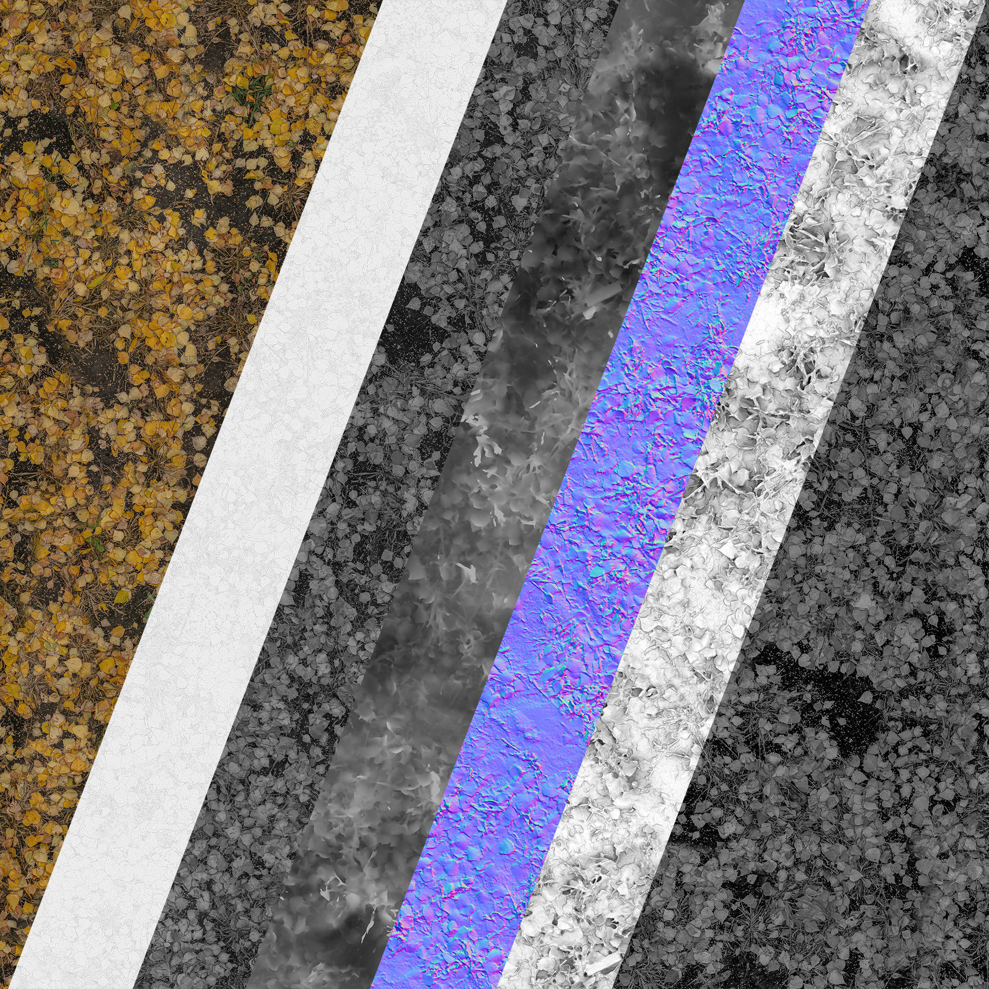 Autumn leaves  Texture_5