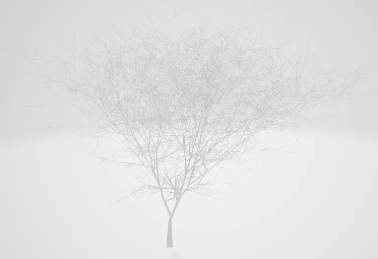 forest tree Free 3D model_0