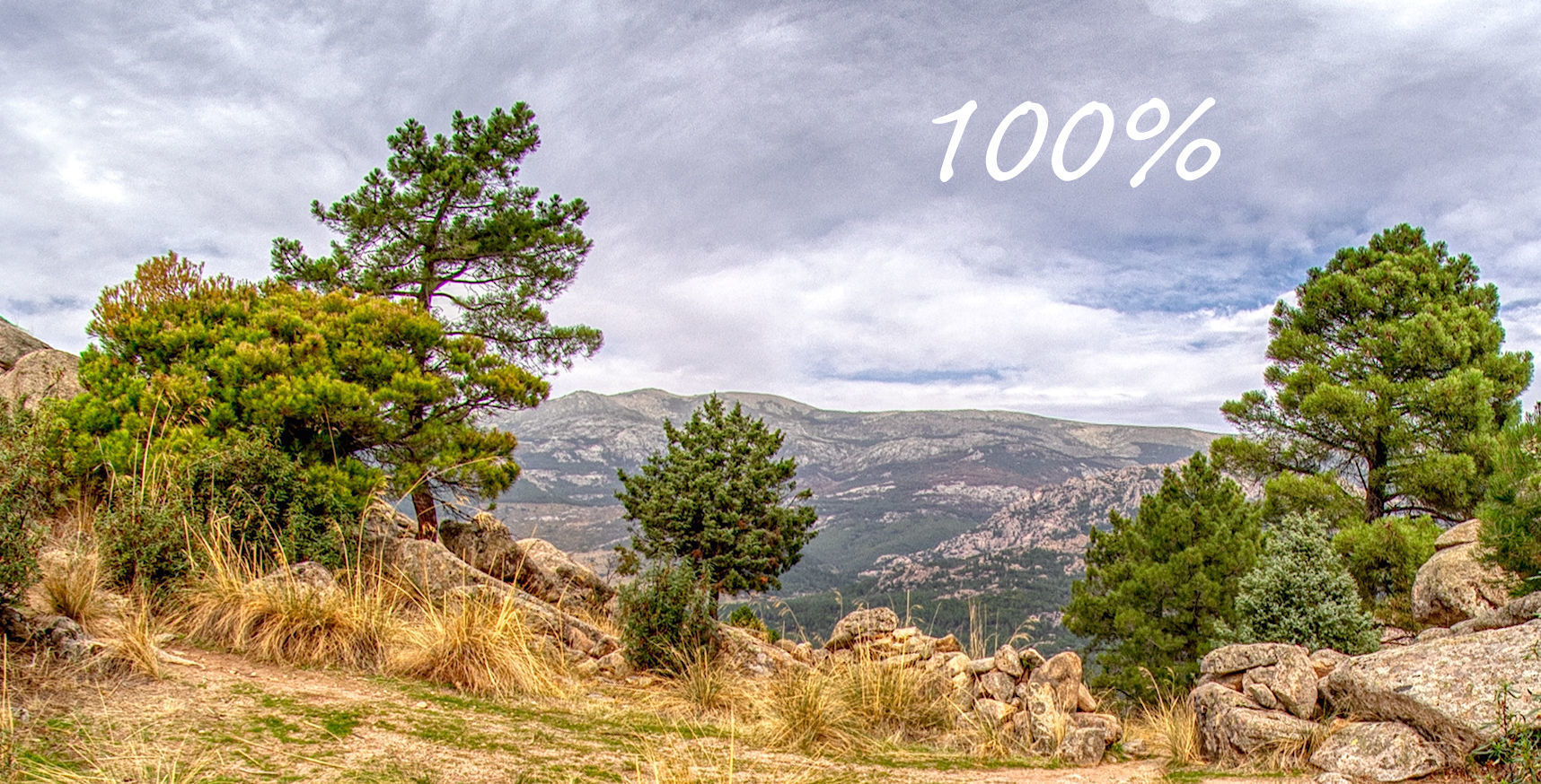 HDR 019 Low-poly 3D model_3