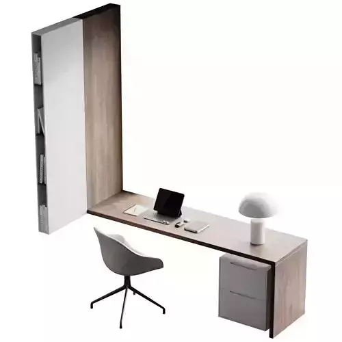 Workplace 4 modern office desk