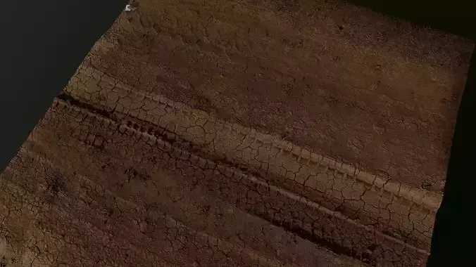 Dirtpath02 piece of wood with cracks in it