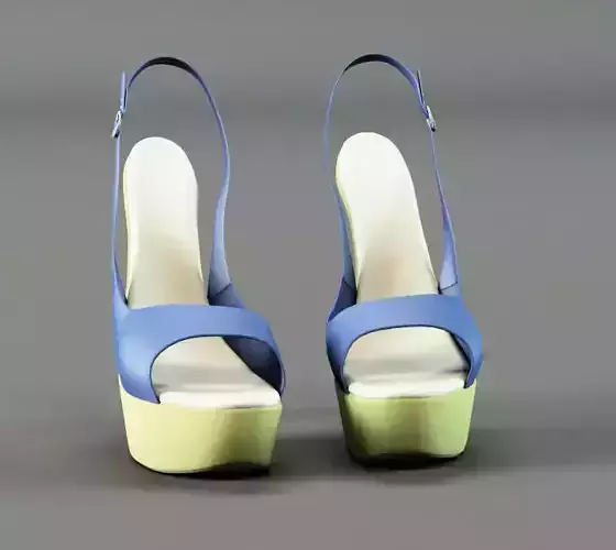 Female shoe 4
