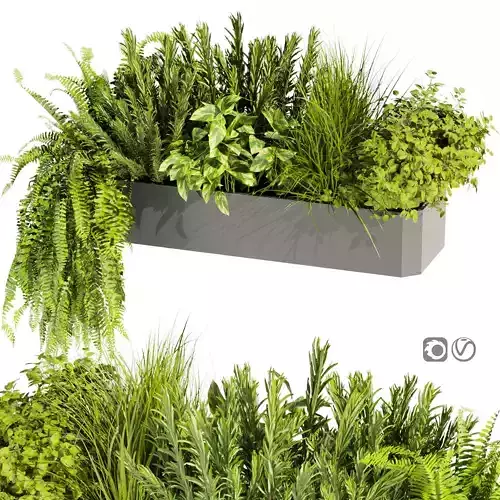 Collection plant vol 407 - Indoor - balcony - ampelous 3D model