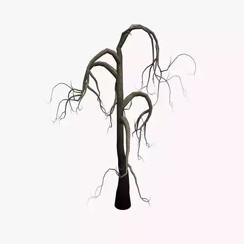 26 Spooky Trees