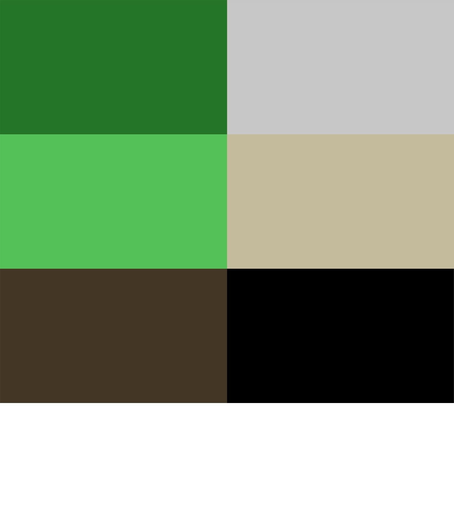 Asset plants Low-poly 3D model_14