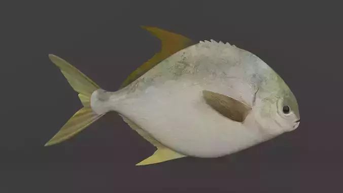 Fish Pompano