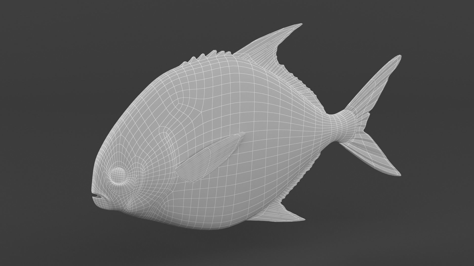 Fish Pompano 3D model_7