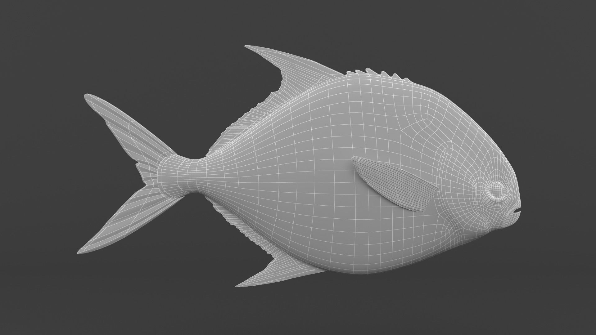 Fish Pompano 3D model_5