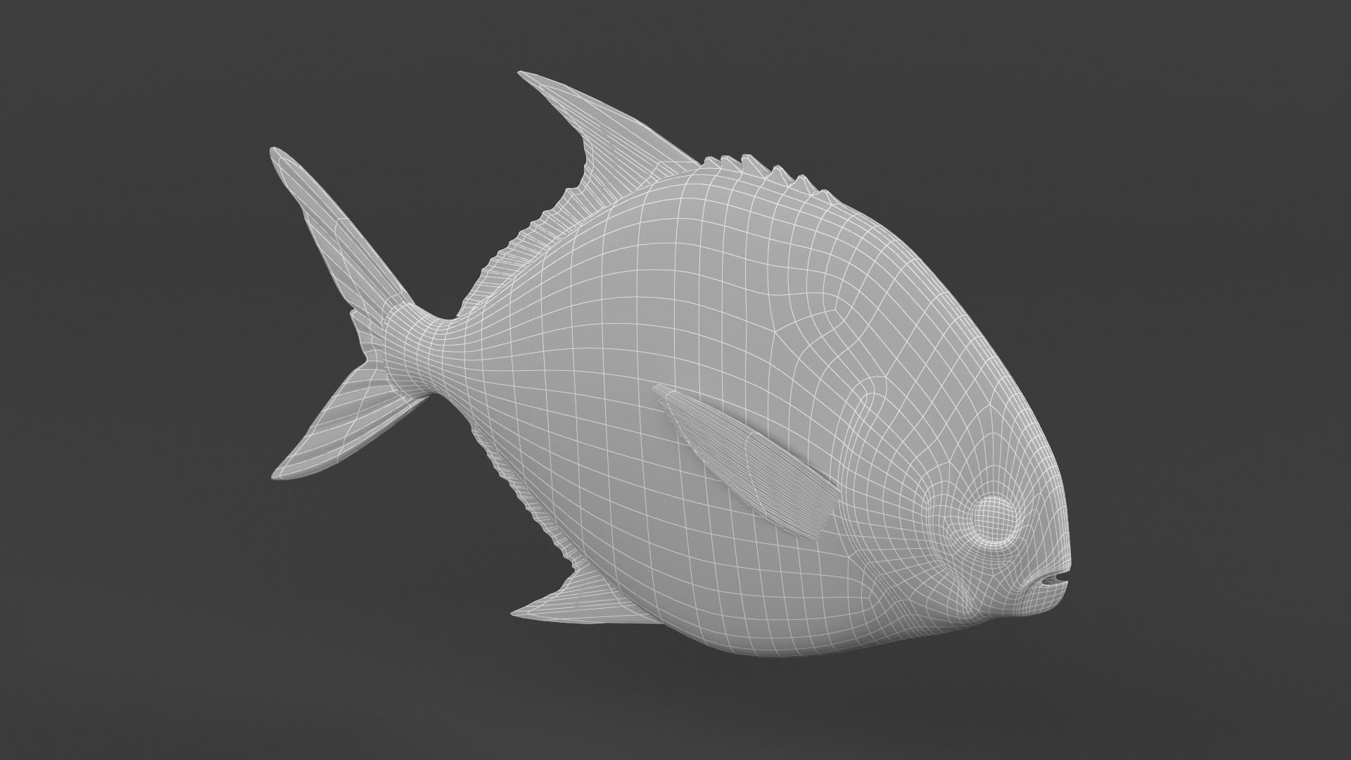Fish Pompano 3D model_6