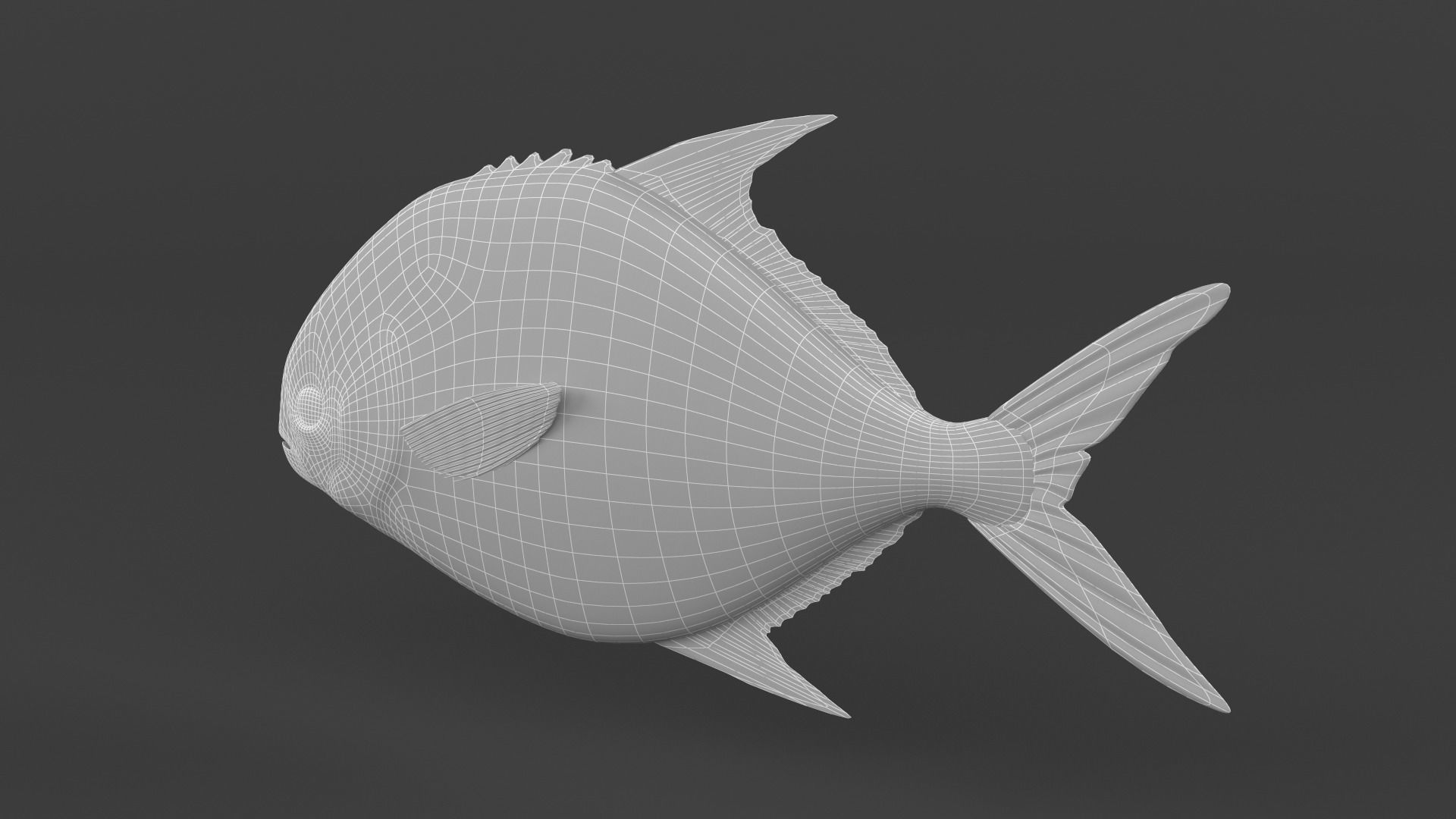 Fish Pompano 3D model_9