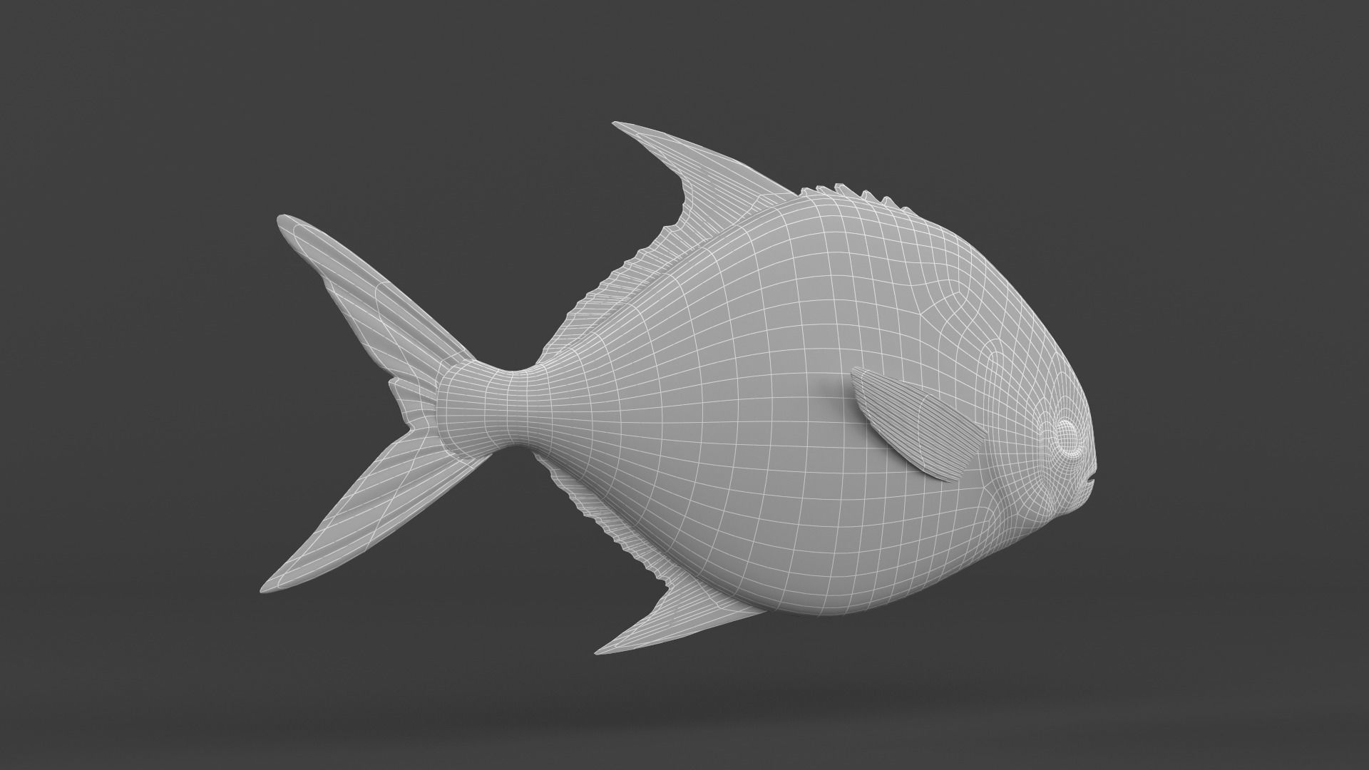 Fish Pompano 3D model_8