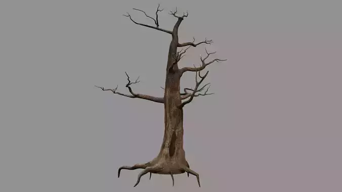 DryTreeB dead tree 3D model