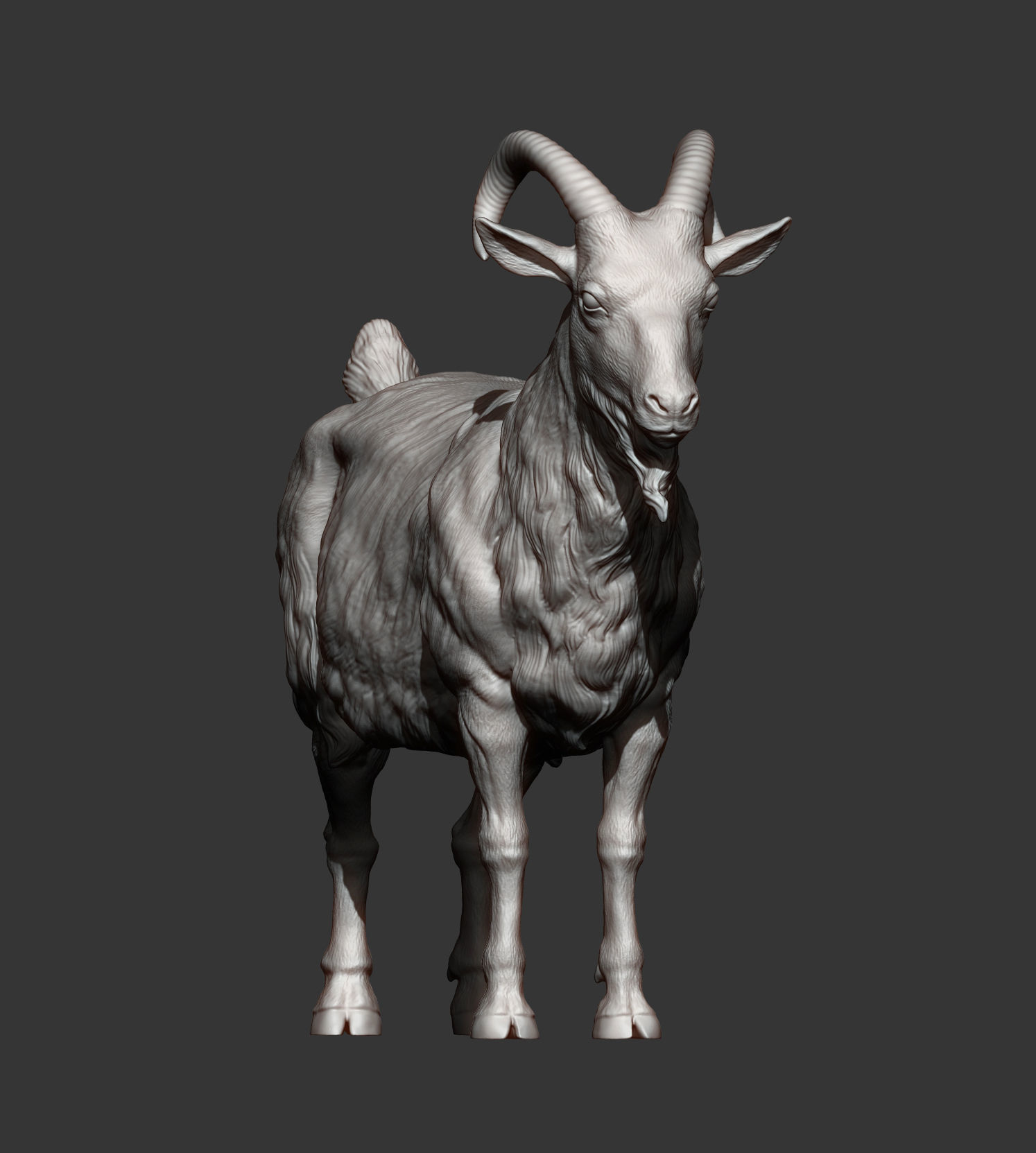 Goat 3D print model 3D print model_13
