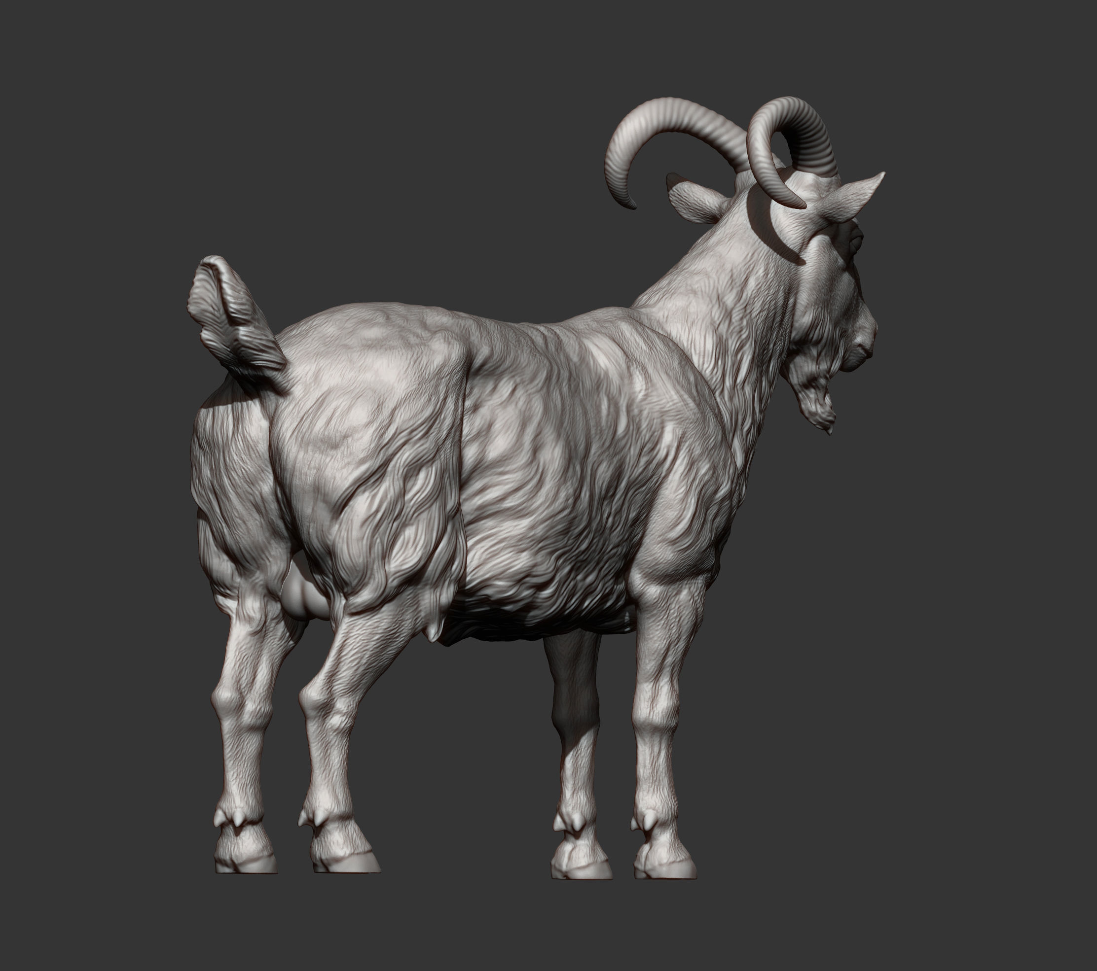 Goat 3D print model 3D print model_8