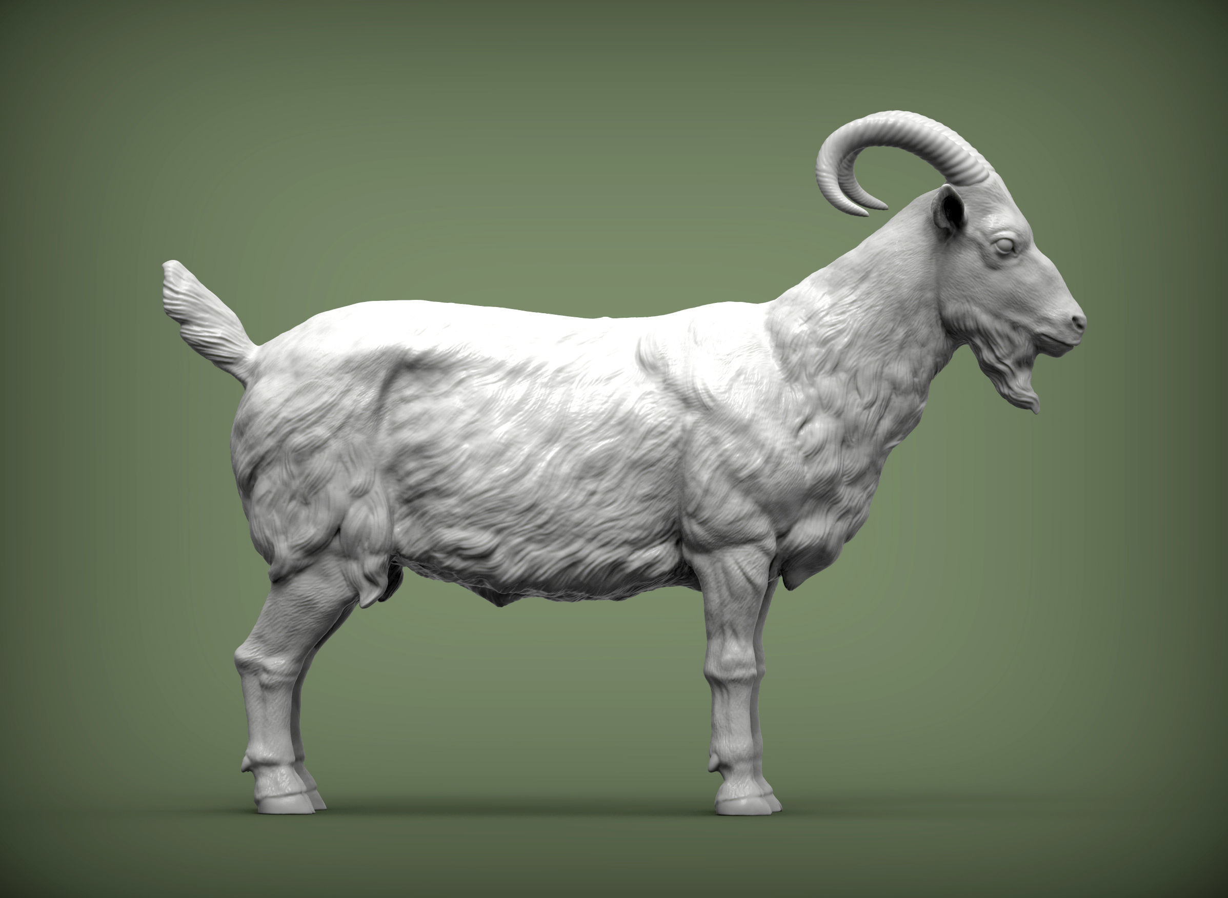Goat 3D print model 3D print model_5