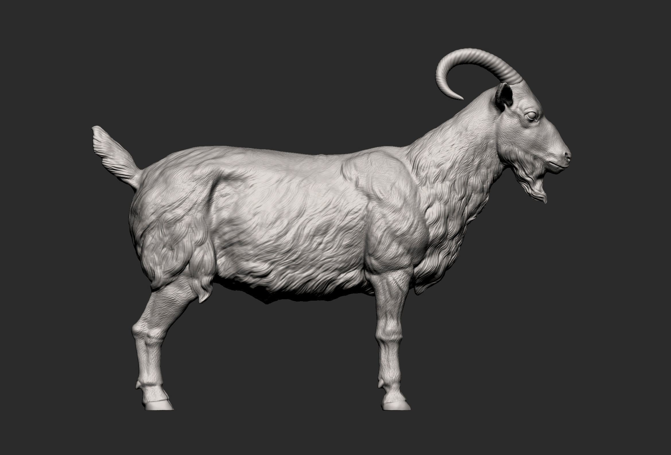 Goat 3D print model 3D print model_11
