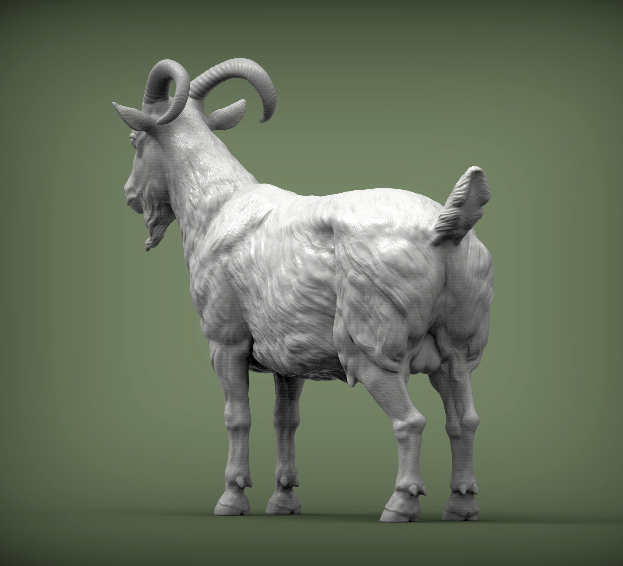 Goat 3D print model 3D print model_6