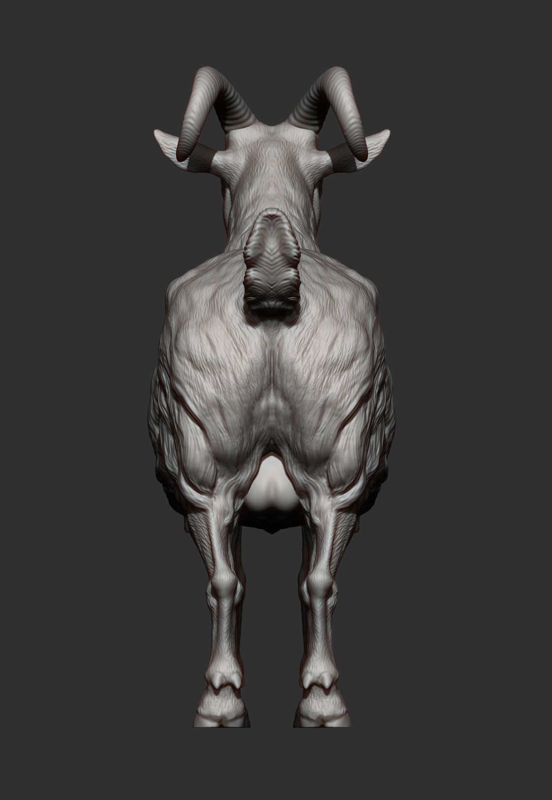 Goat 3D print model 3D print model_12
