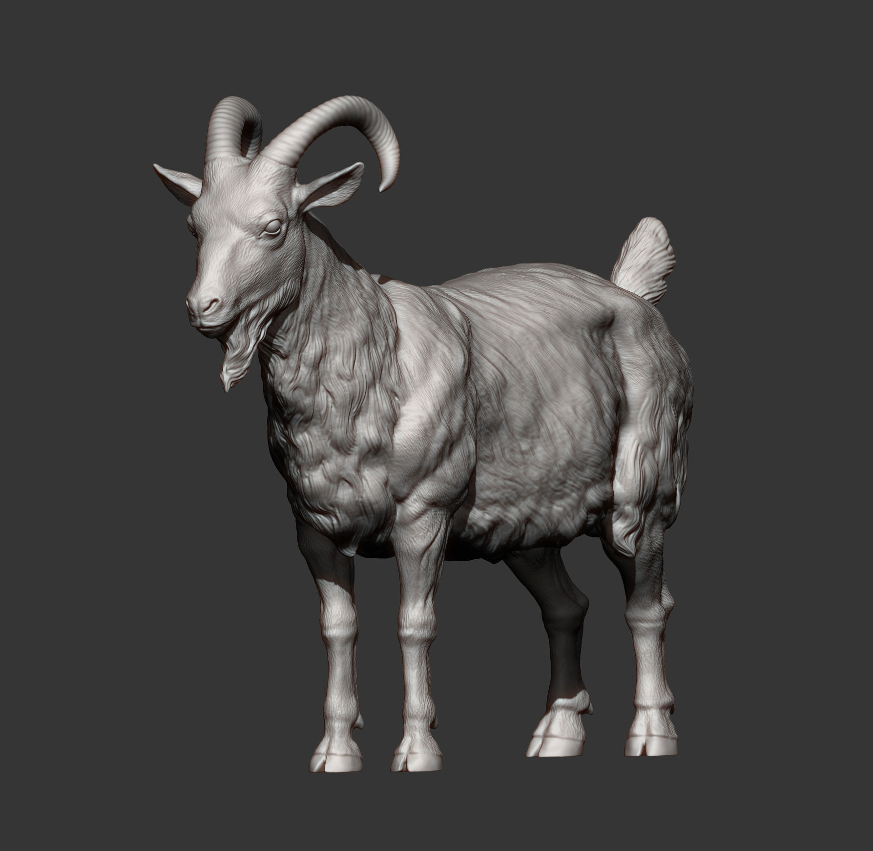 Goat 3D print model 3D print model_7