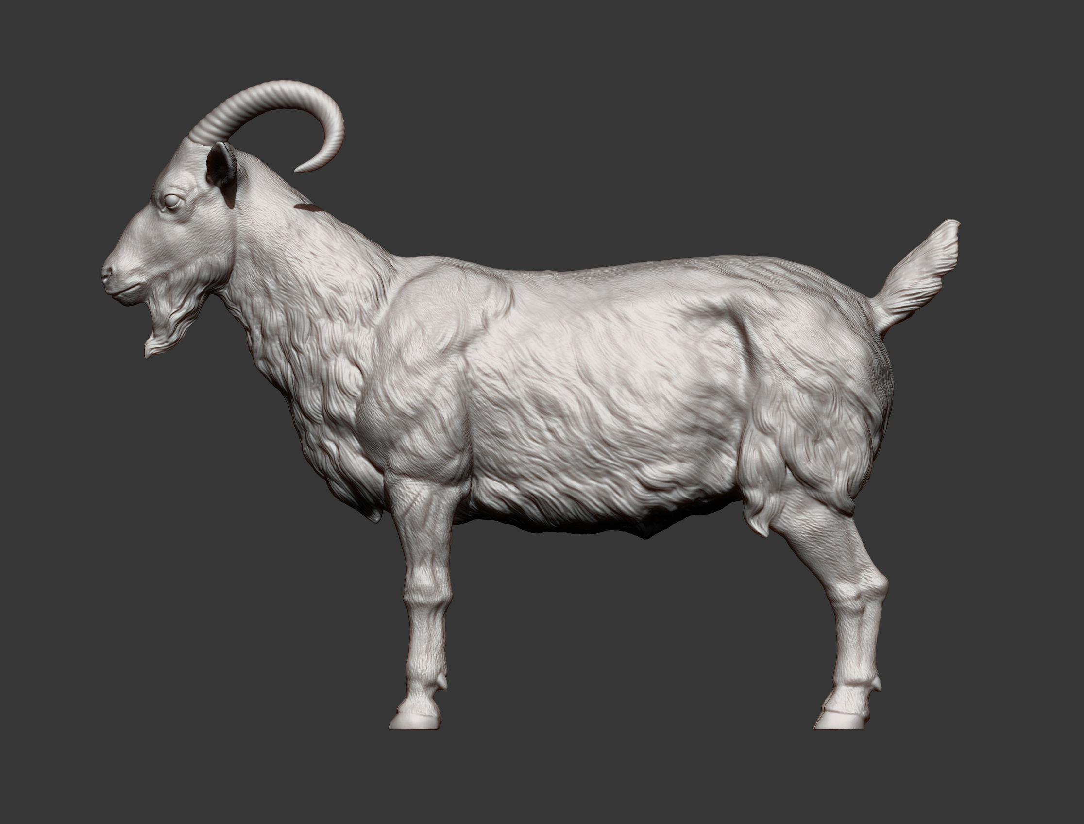 Goat 3D print model 3D print model_9
