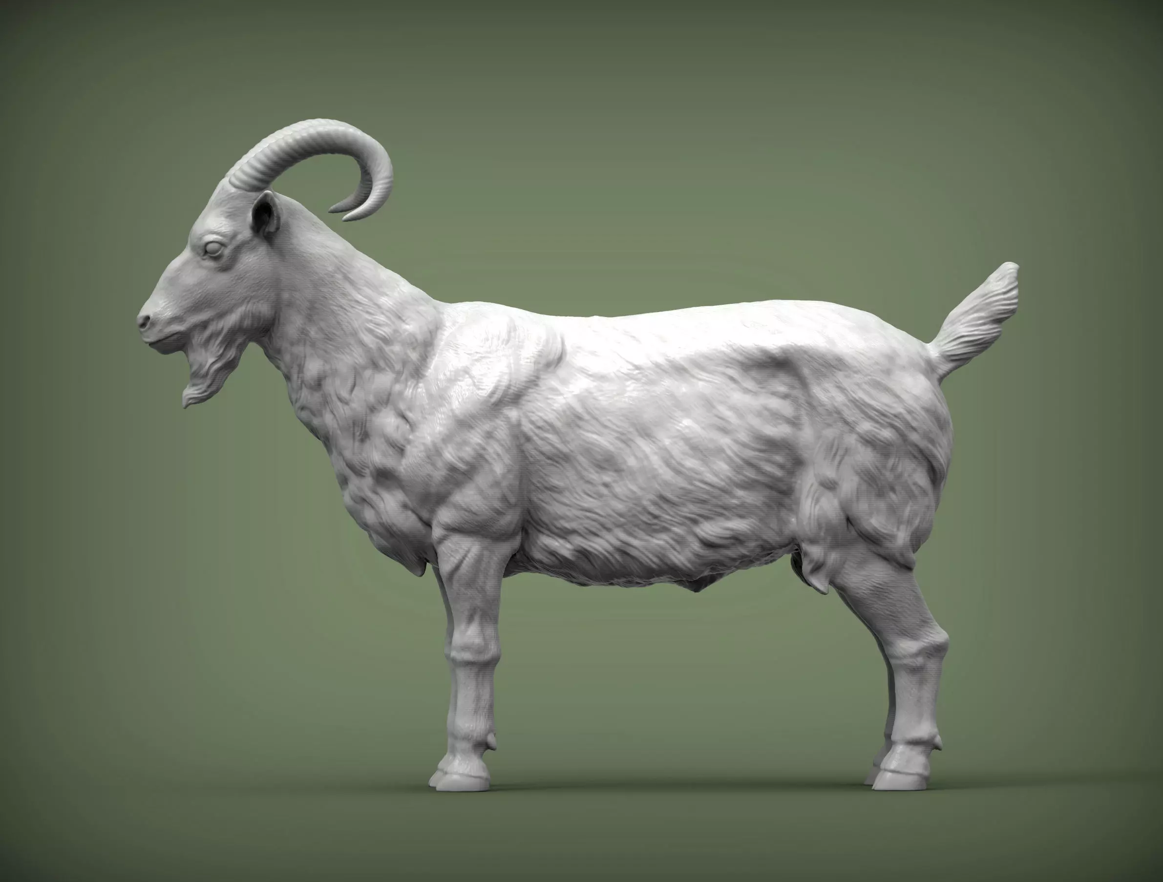 Goat 3D print model 3D print model_0