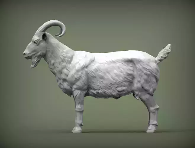 Goat 3D print model 3D print model