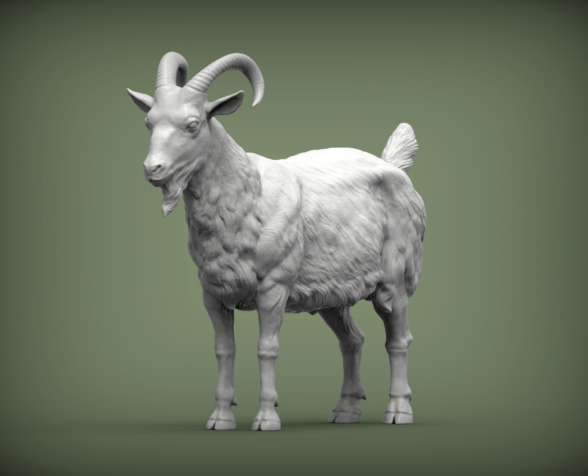 Goat 3D print model 3D print model_2