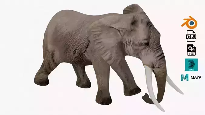 Elephant Rigged