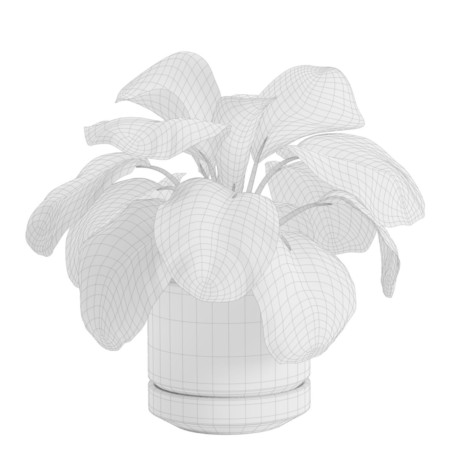 Indoor Plants Pack 30 3D model_10